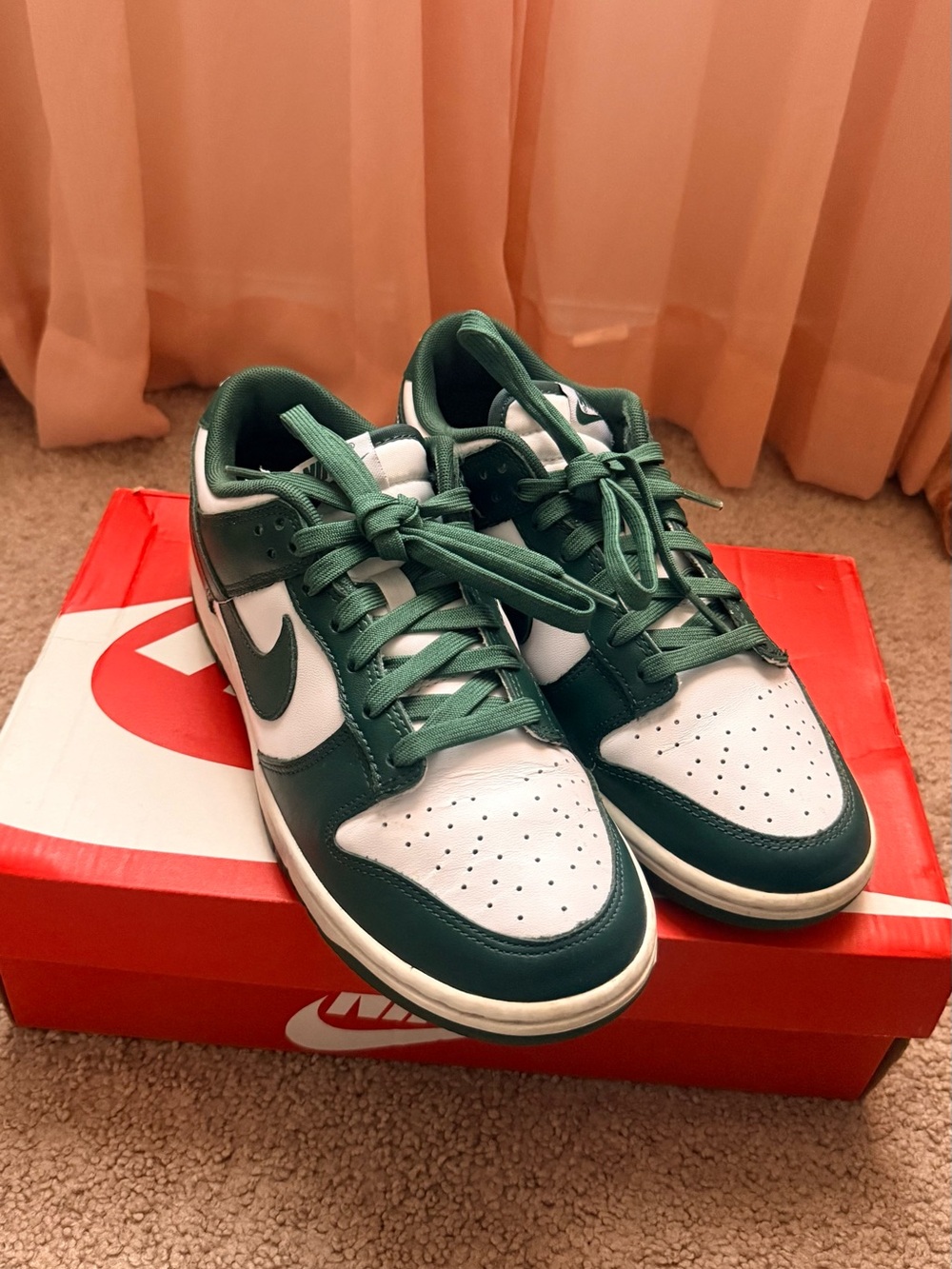 Dunk Low Michigan